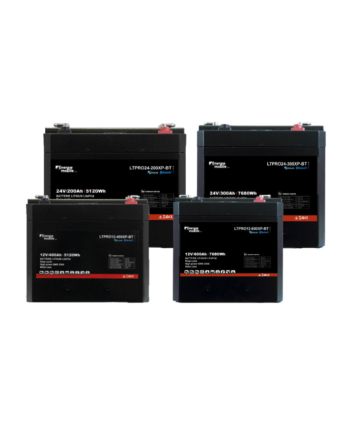 Batterie polar robuste LTPRO-XP pour résister à tous les environnement