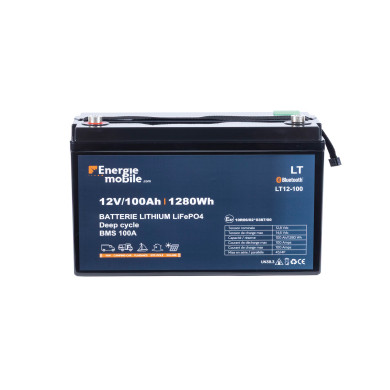 batterie auxiliaire LT 12V-100Ah