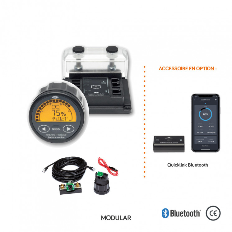 Contrôleur de batterie  LCD gamme Expert